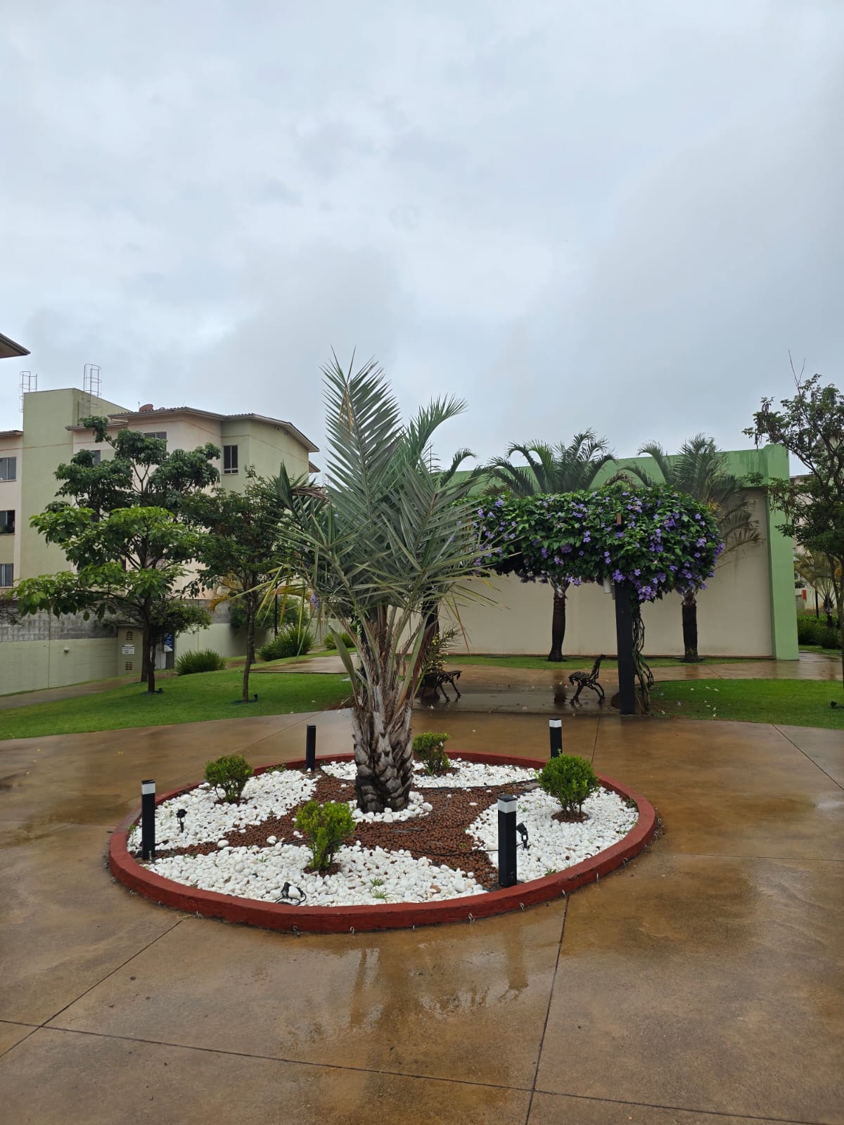 WhatsApp Image 2026-01-20 at 21.16.25